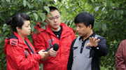 安新汽车站恢复乘客班次+发车时间表